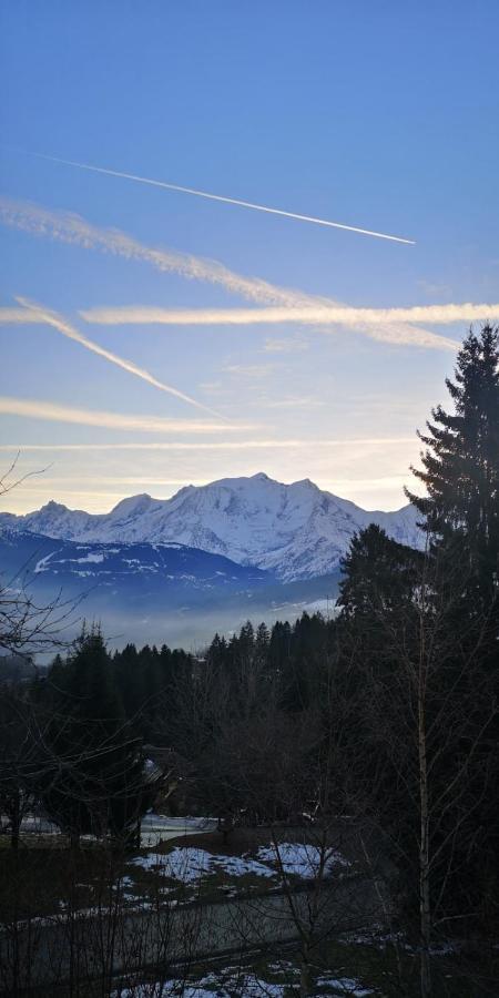 Beautiful Apt With Balcony At Combloux ! Extérieur photo
